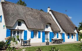 Les Nympheas
